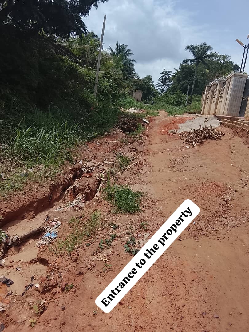 Professional fence inspection and structural assessment project in Udi Enugu State