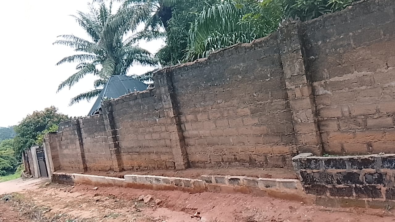 Professional inspection report and remedial recommendation project in Udi Enugu State